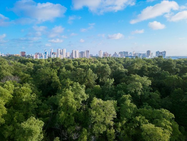 Trouvez votre assurance scooter 125 pas cher ici