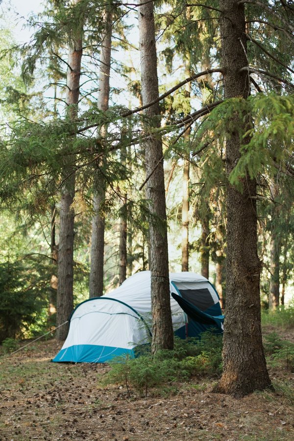 Campings à Hyeres : des vacances découvertes de la Provence Alpes Côte d'Azur